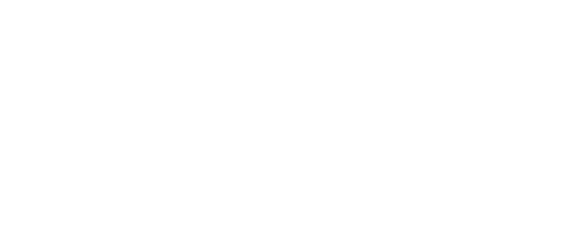 logo-custom
